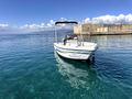 RANIERI VOYAGER 19S | 6 POSTI | SENZA PATENTE | 8 ORE